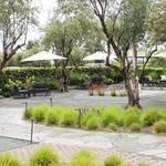 Tolosa Winery