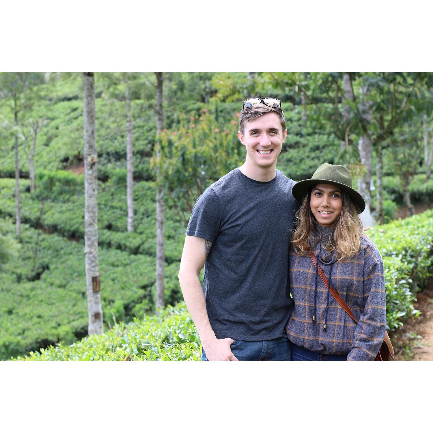 Nuwera Eliya / 2016