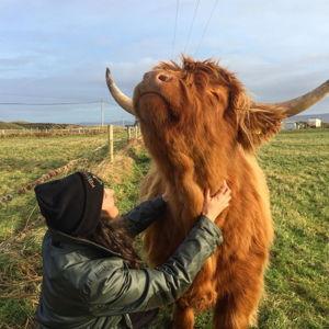 Meet & Cuddle the Highland Cows