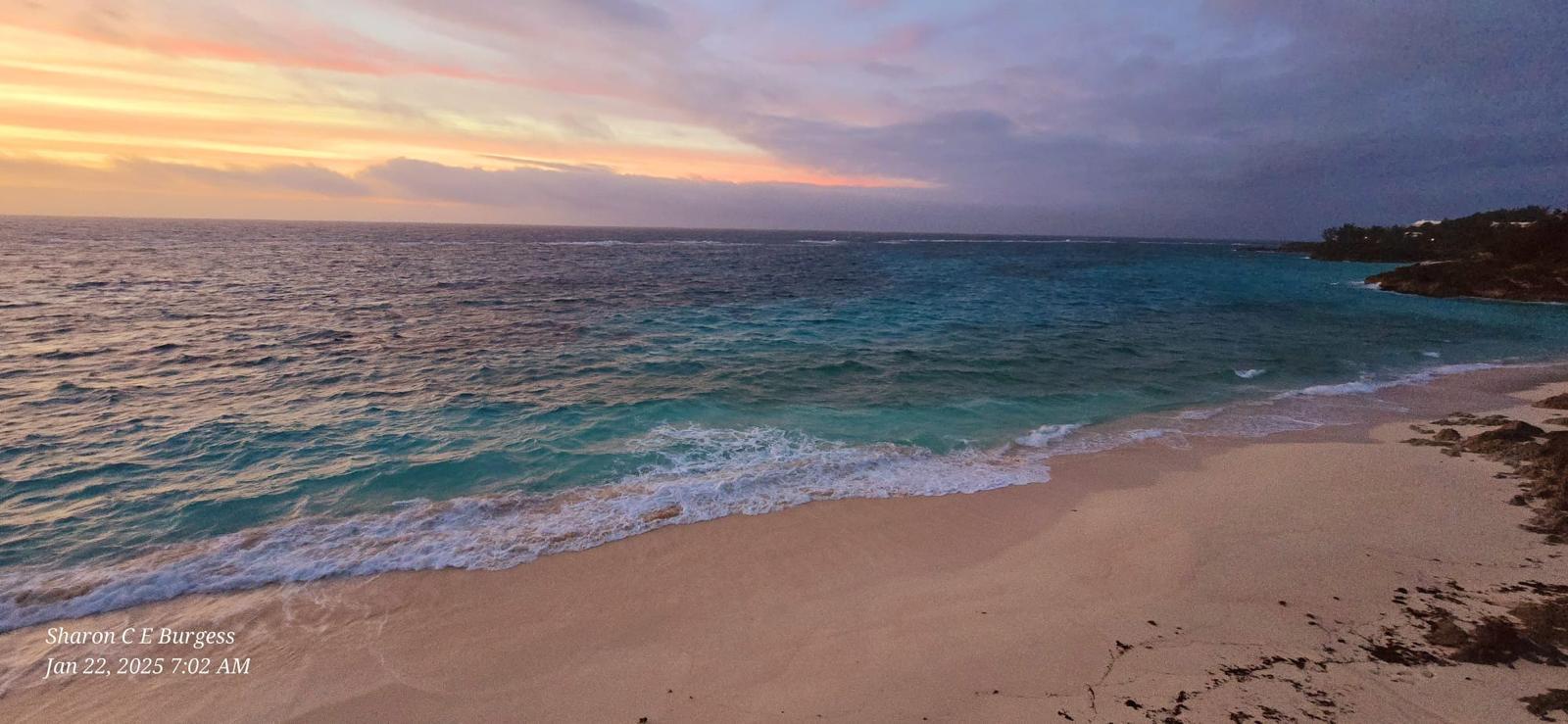 The Wedding Website of Moriah Barrett and Scott Simons