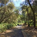 Dragoon Gulch Trail Head