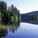 Mountain Lake
