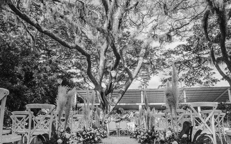 The Wedding Website of Sofia Cabuyales and Esteban Rodriguez