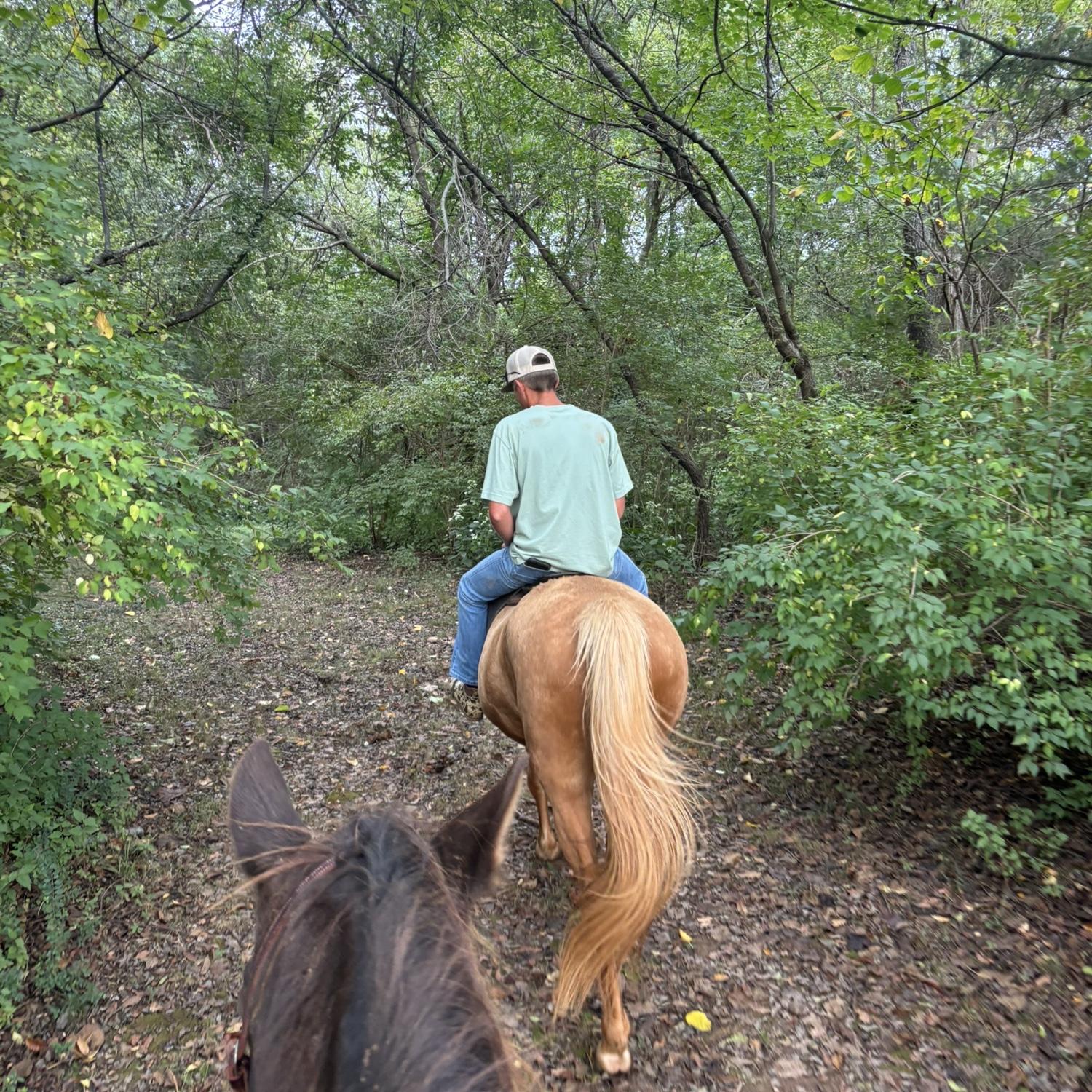Trail rides with Sonny and Shammi!