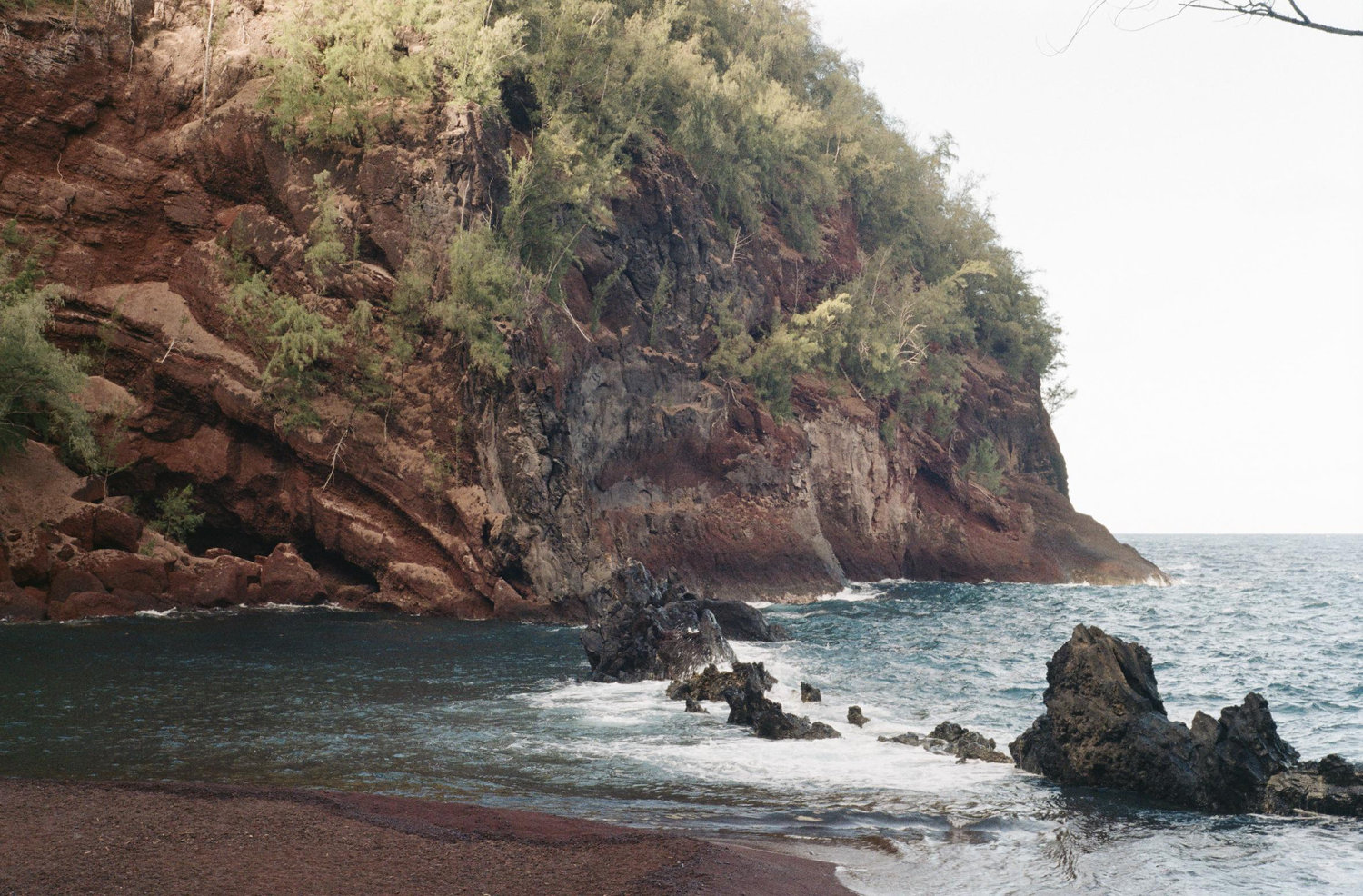 The Wedding Website of Hannah Green and Sebastian Mireles