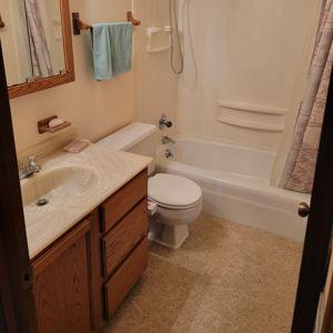 Carpet bomb our bathrooms (Bathroom renovations)