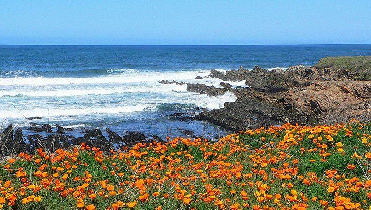 The Wedding Website of Kayla Watson and Ruben Patino