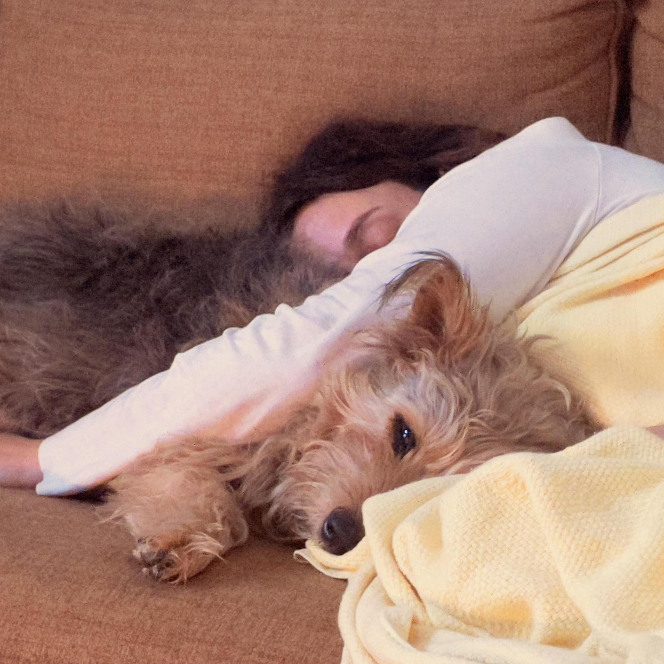 The best nap