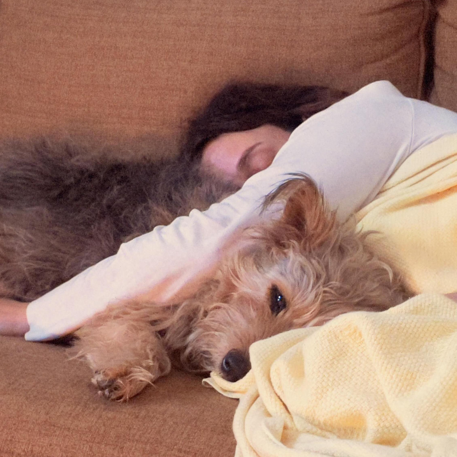The best nap