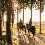 Horse Ride Through the Tuscan Hills