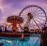 Navy Pier