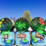 Hill Ridge Farms