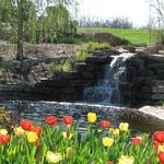 Overland Park Arboretum & Botanical Gardens