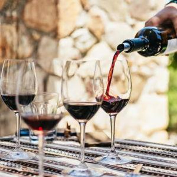 Wine and Olive Oil Tour