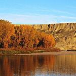 Strathcona Island Park