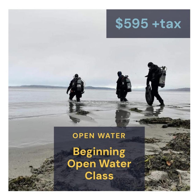 Get Rachael open water scuba certified