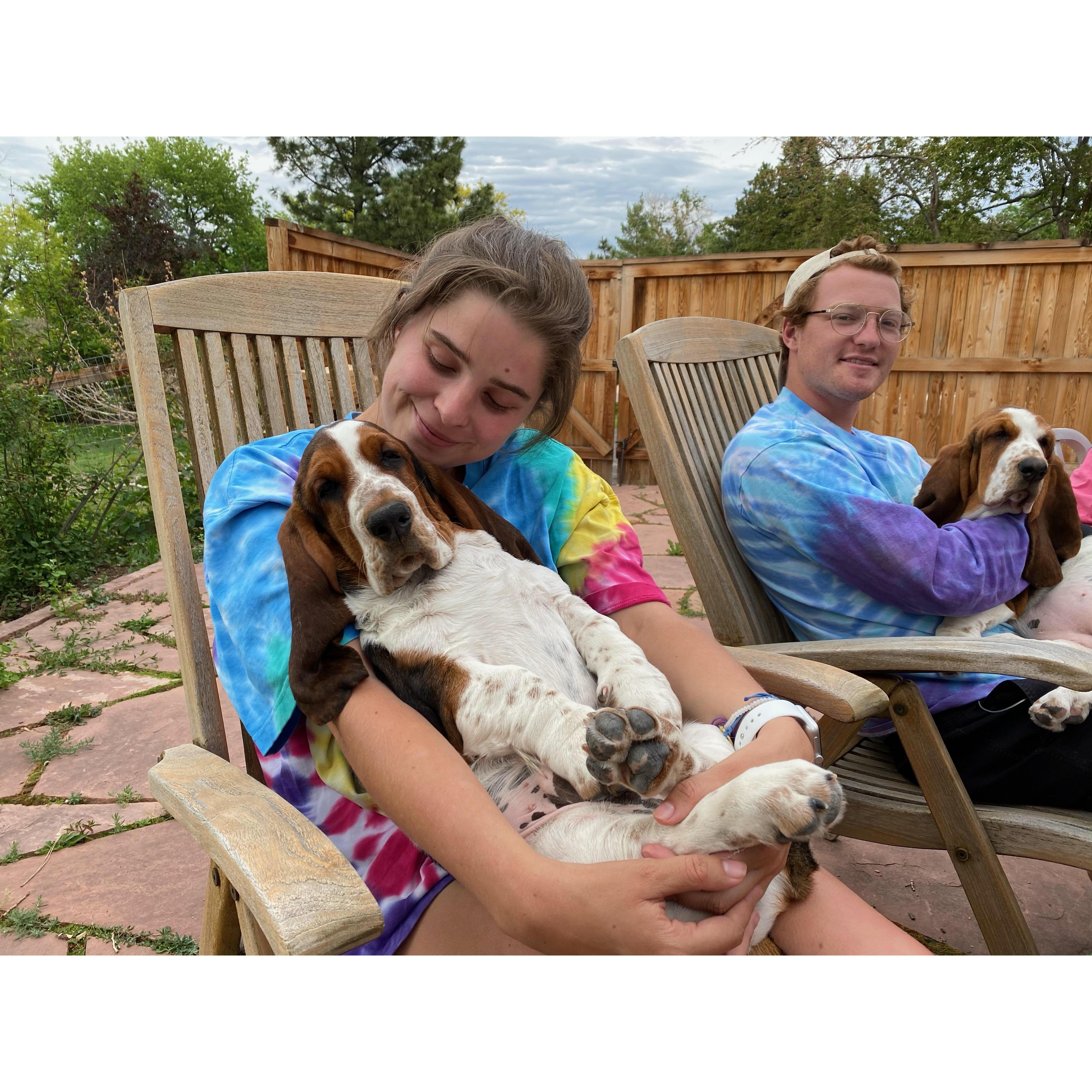 Baloo's cousins Boone and Sugar, they brought us so much love and happiness at the beginning of COVID.