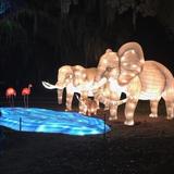 Audubon Park/Zoo Lights