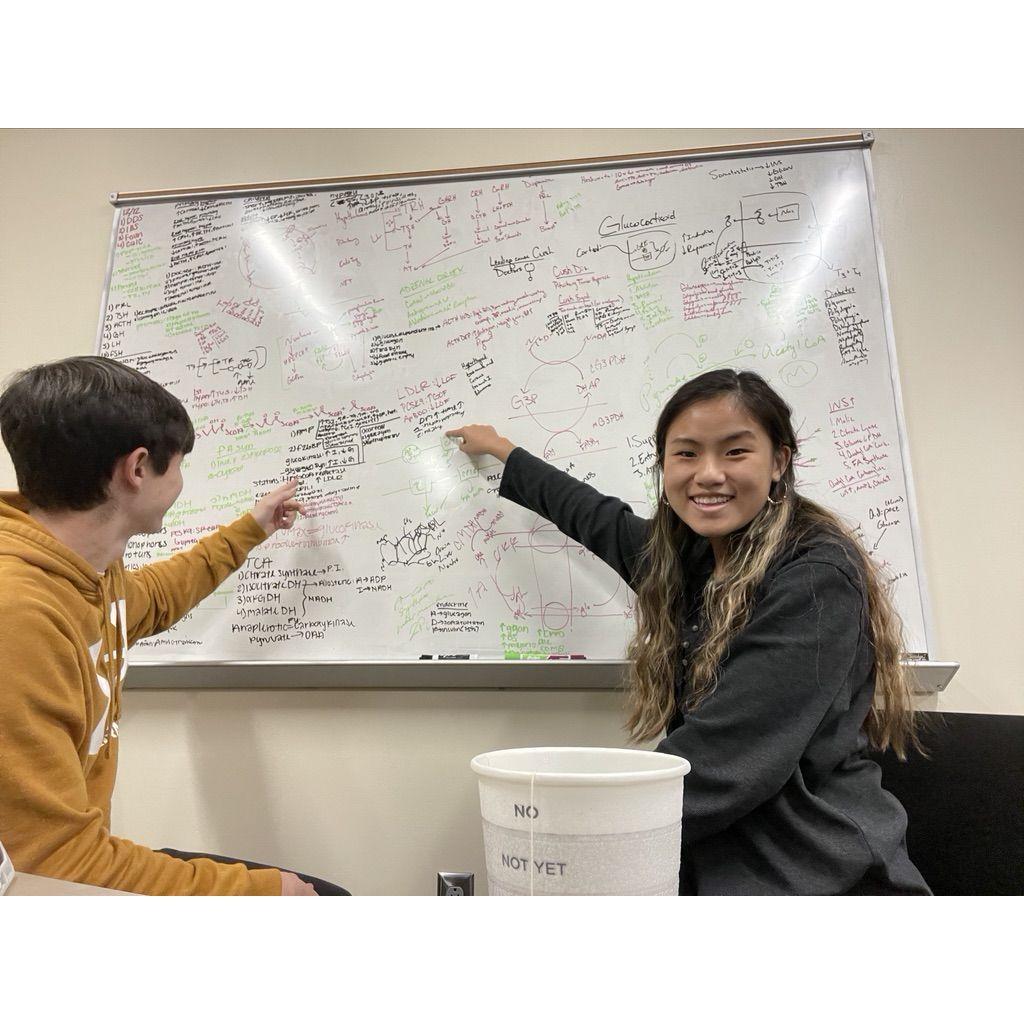 Fall 2021: We often found ourselves having fun while studying. It became our tradition to take a picture with our study board and point to our favorite fact. I know, we're nerds.