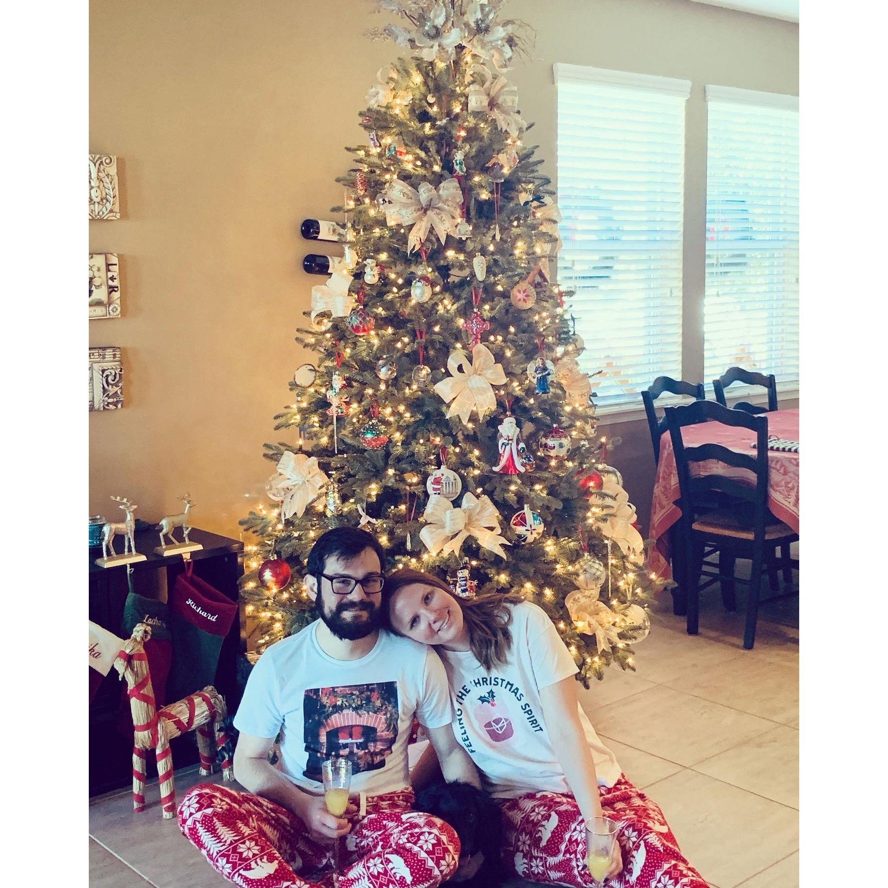 Christmas in Covid - at home in St. John's FL
