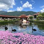 Дамасцена/Damascena/Villa Valley of Roses / Вила Долината на розите