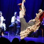 Tablao Flamenco Cordobes Barcelona