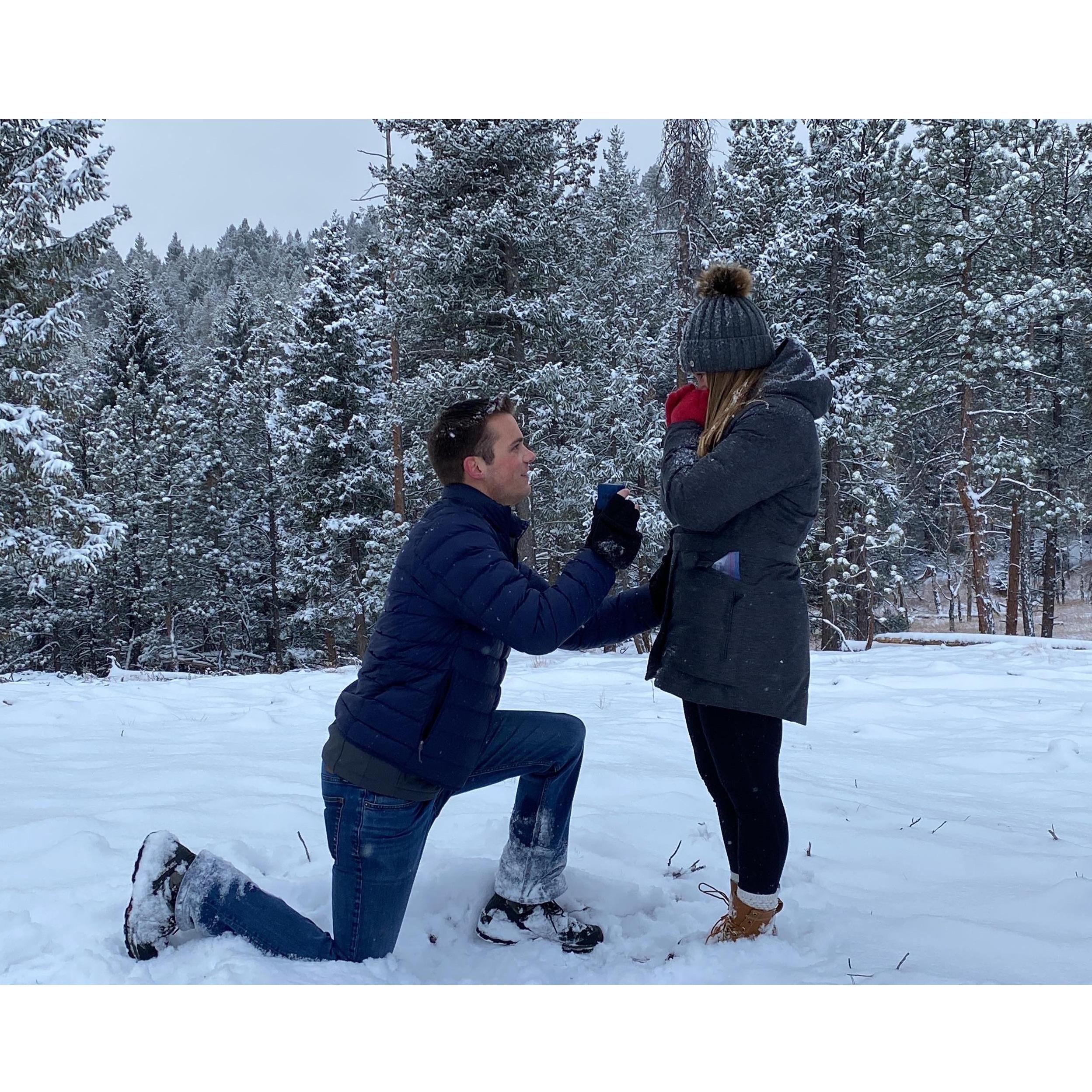 Will proposed on a snowy hike in Colorado!