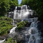Amicalola Falls State Park