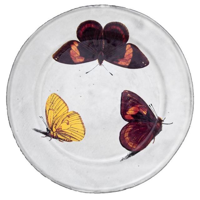 Butterfly Plate