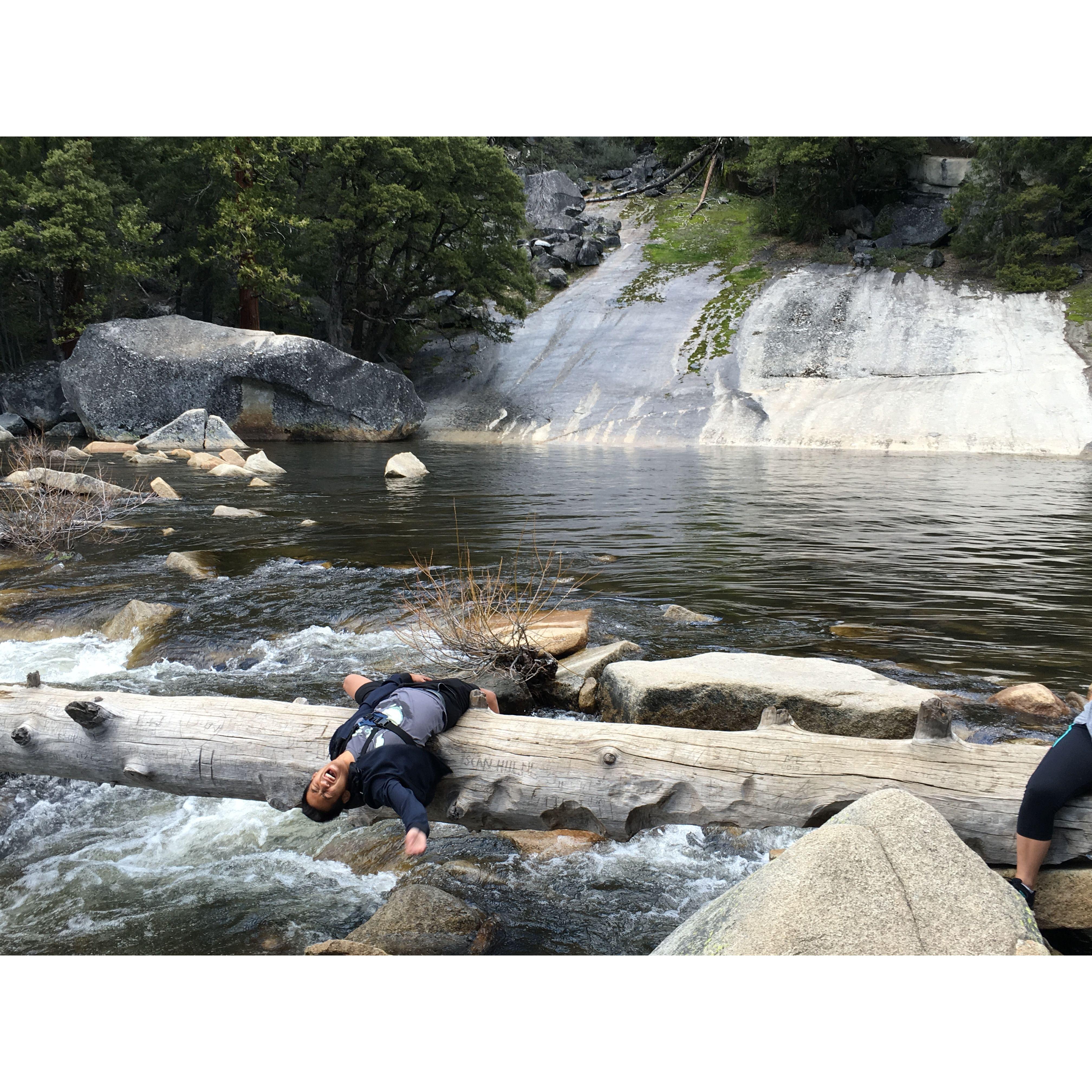 Yosemite - Fun fact!

George fell into the river just after this photo was taken.