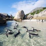 Boulders Beach