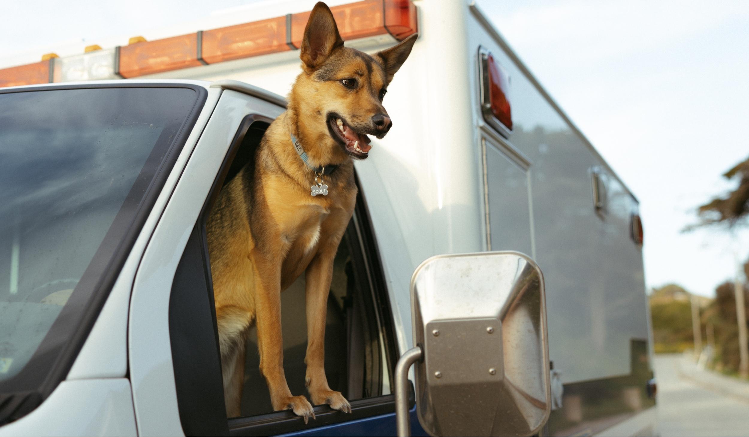 The Wedding Website of Alison Coy and Drew Yasko