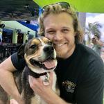 The Dog Bar