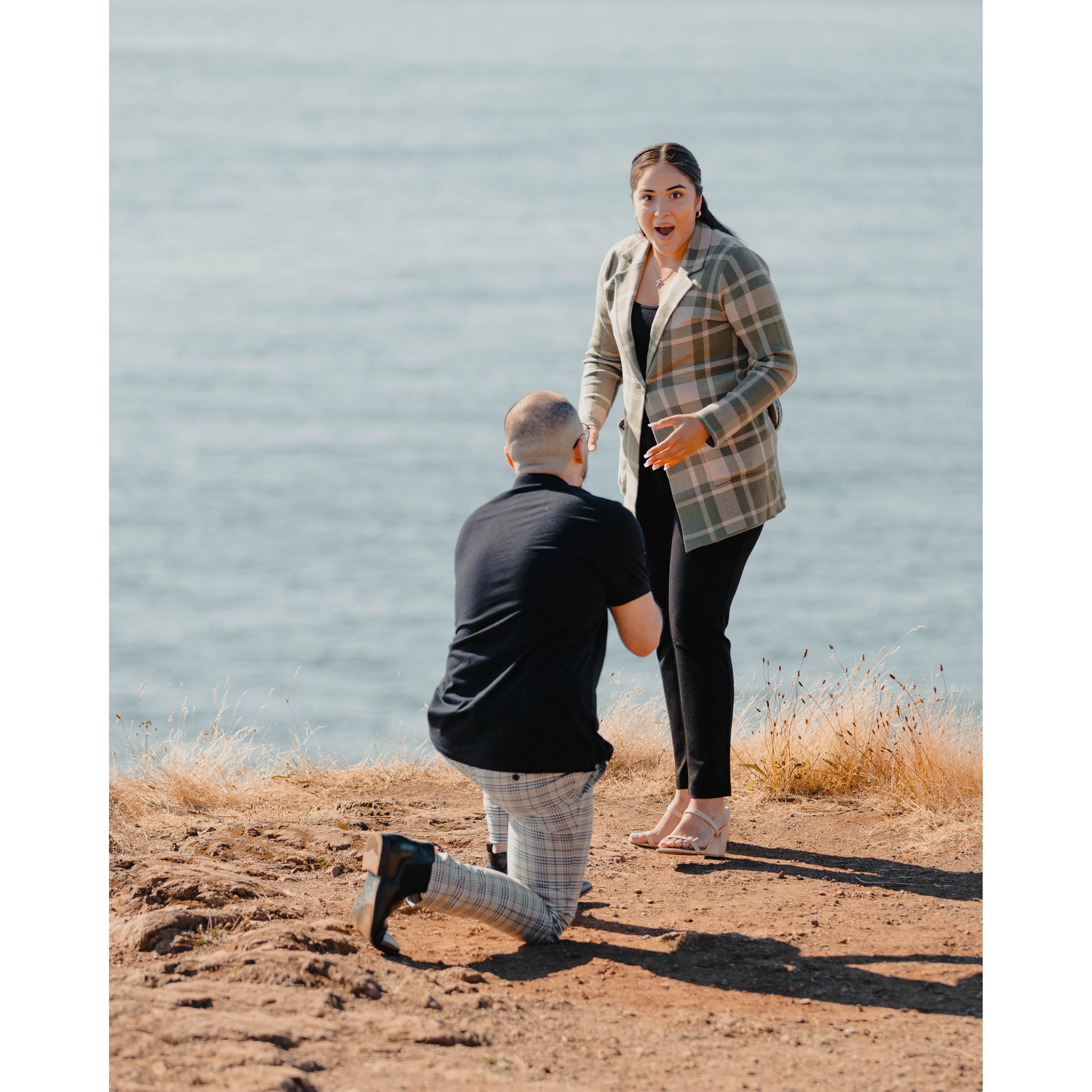 "Ariana, Will you Marry Me? 