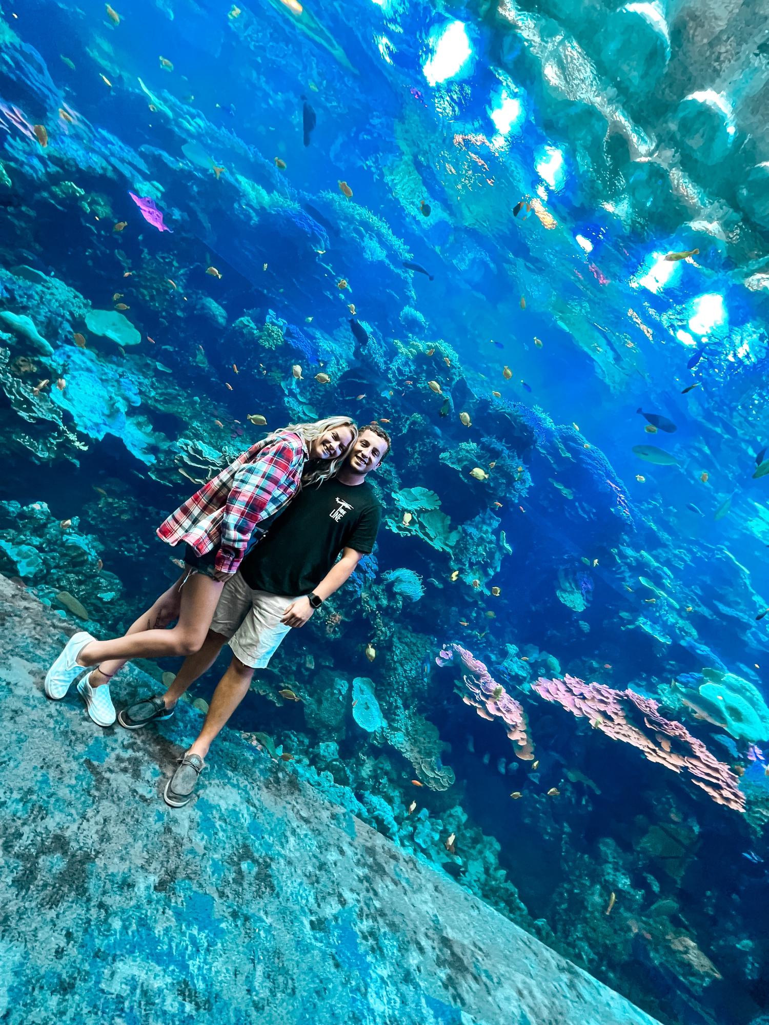 Aquarium visits!