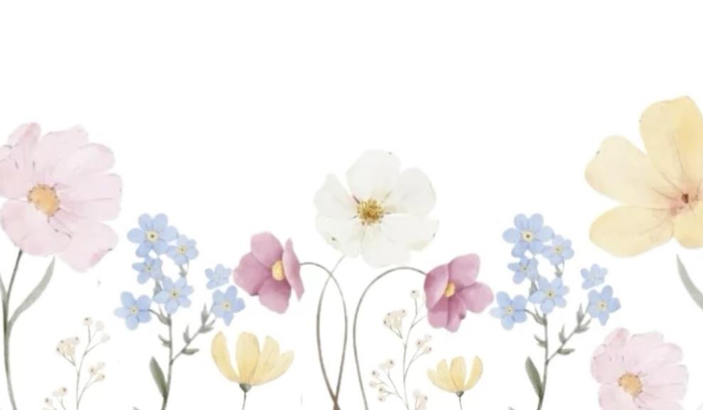Footer image