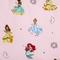 Disney Princess Pink