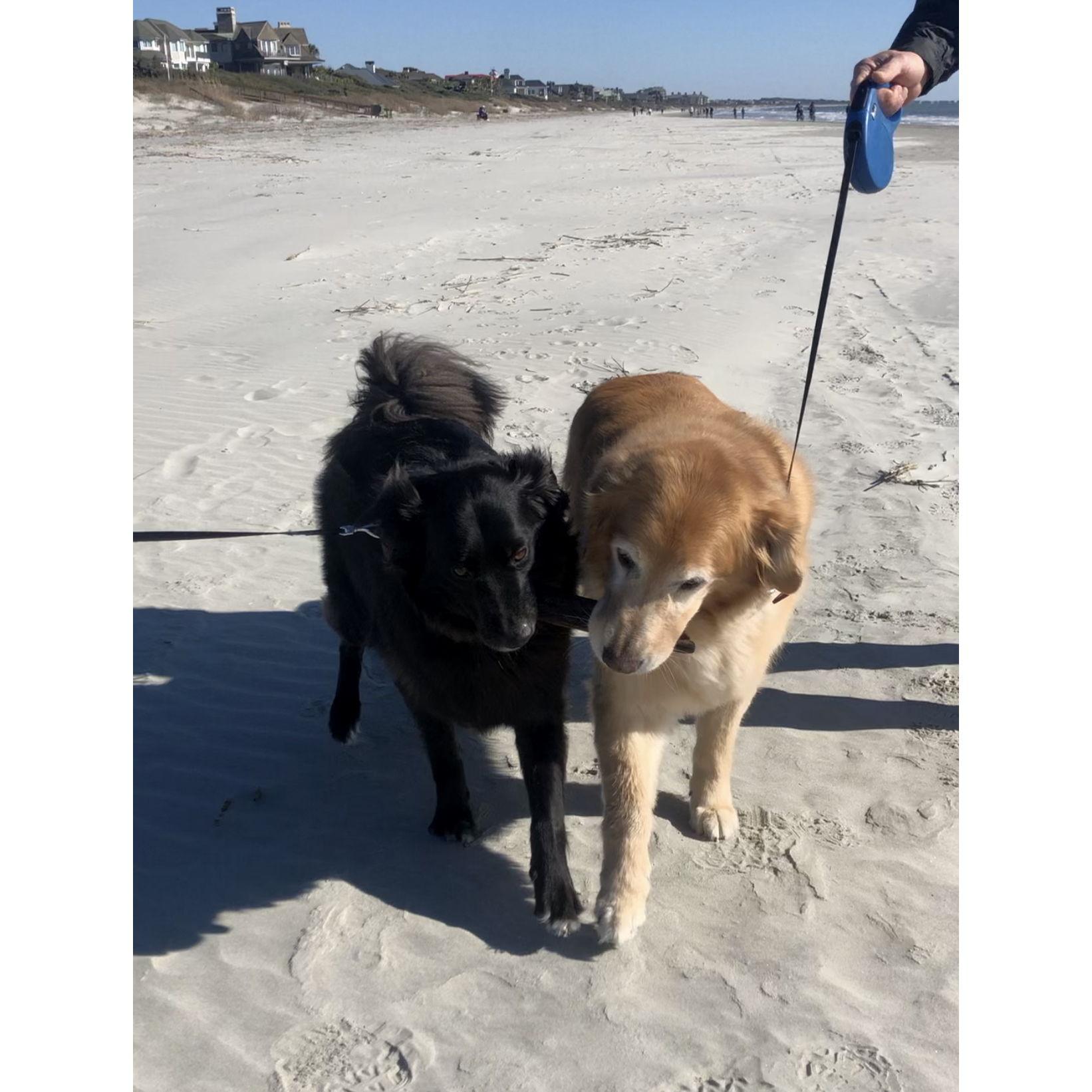 Besties