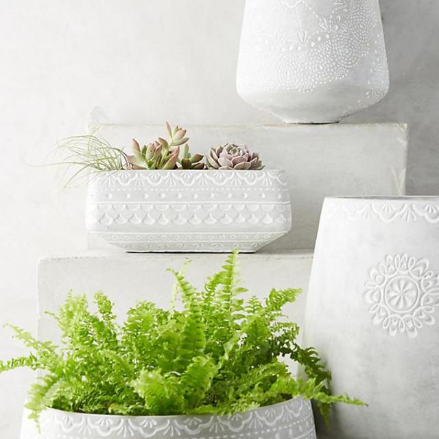 Netara Planter, Small