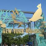 New York Aquarium