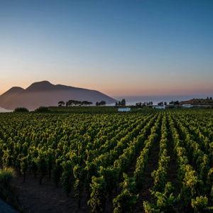 Honeymoon Experience - Aeolian Island Sunset Wine Tasting