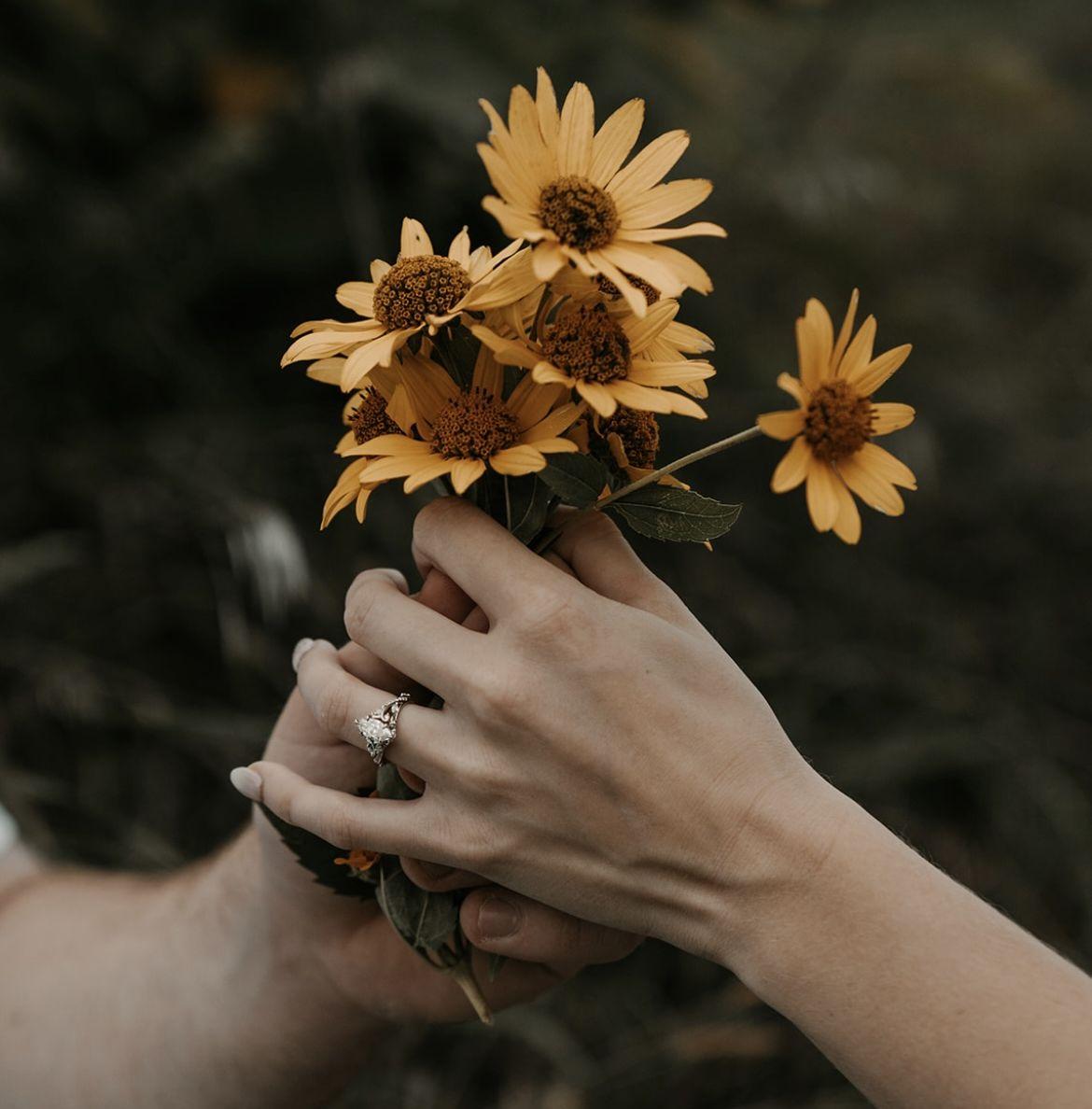 The Wedding Website of Aivary Stein and Alek Krueger