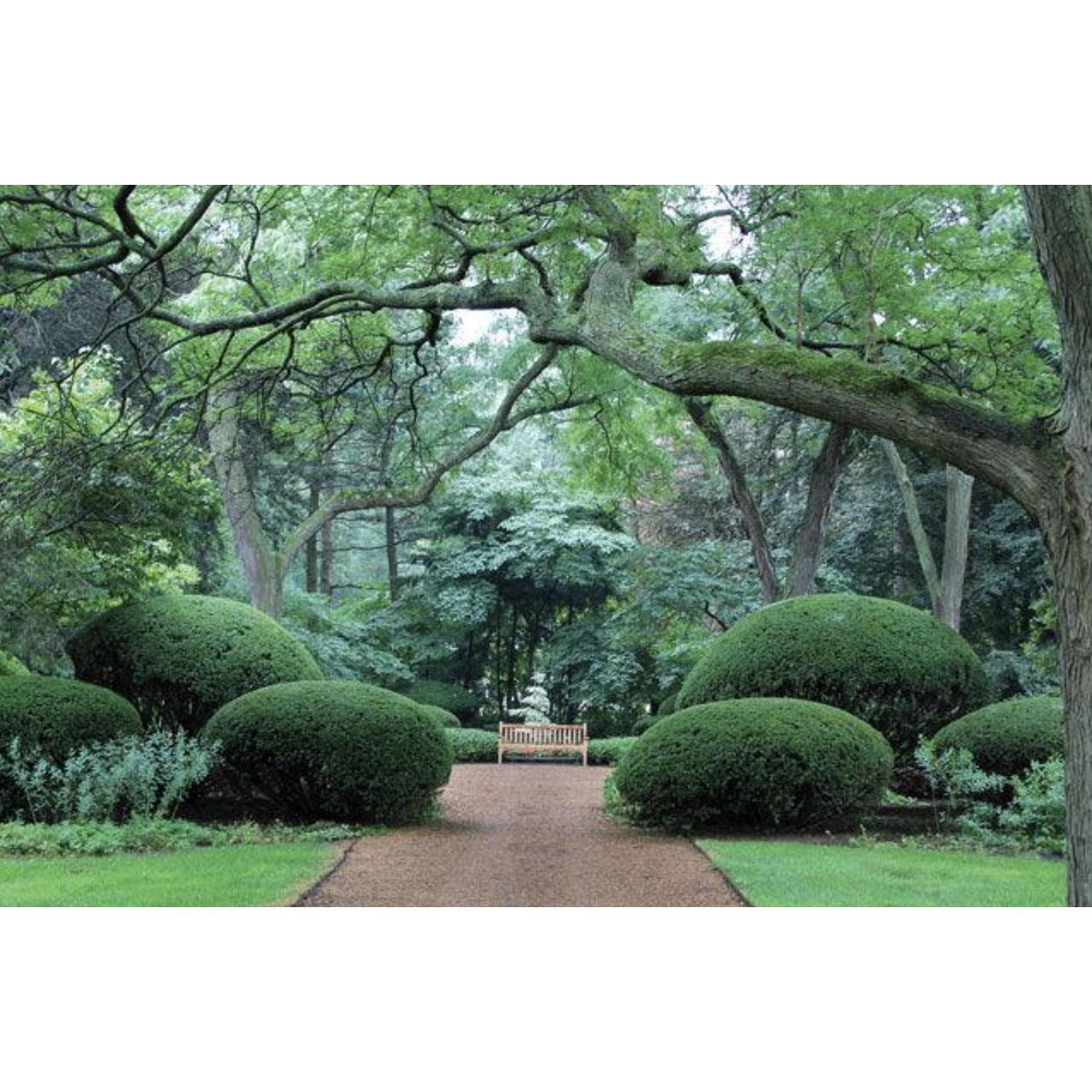 Cantigny- Keyhole Garden