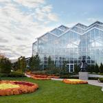 Frederik Meijer Gardens & Sculpture Park