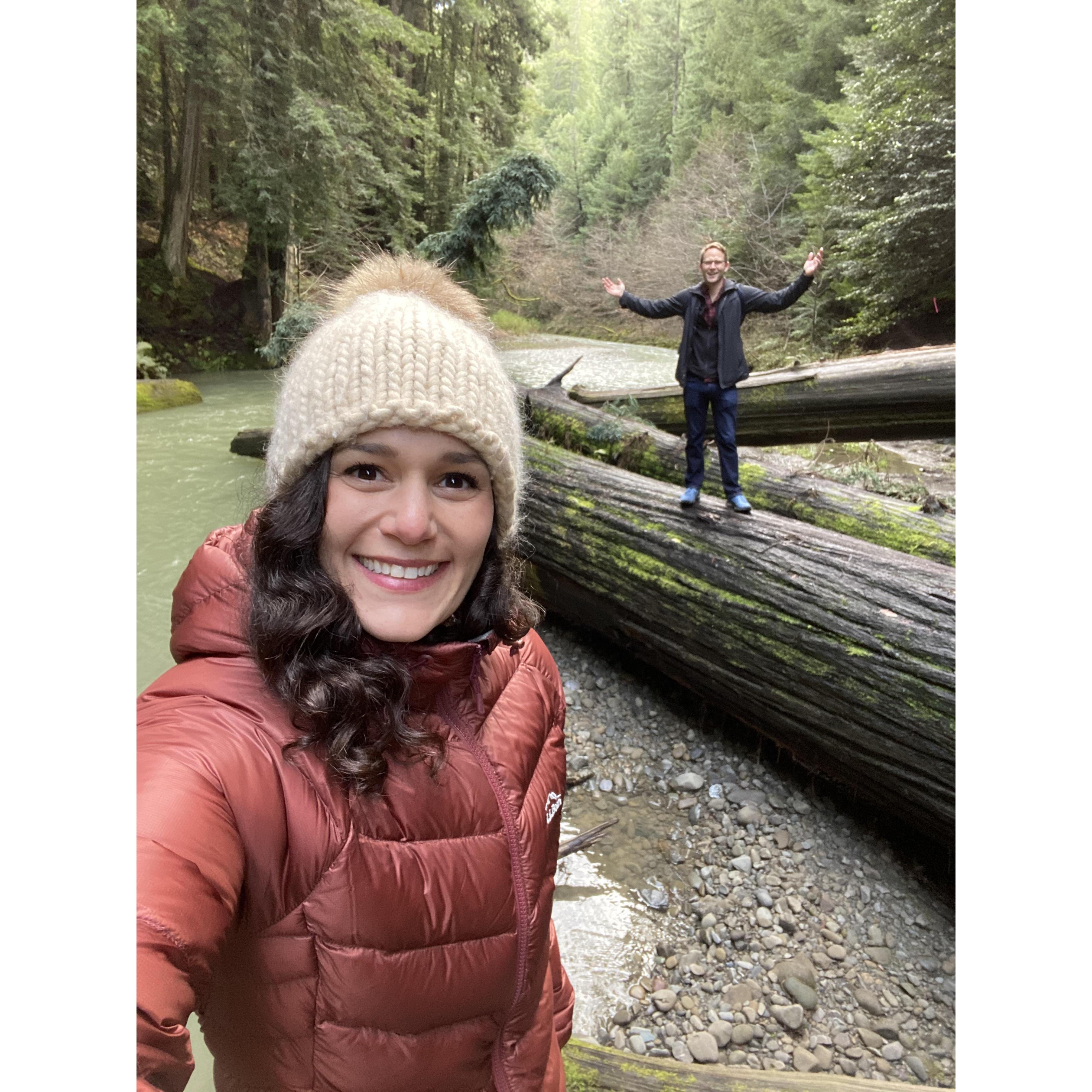 Spent hours being amazed at the largest trees we've ever seen along the Avenue of the Giants near Eureka, CA!