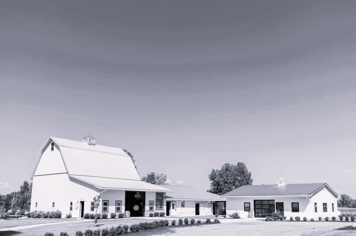 The Wedding Website of Marisa Schutz and Elijah Tyler