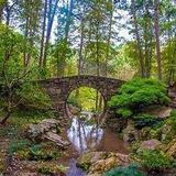 Garvan Woodland Gardens