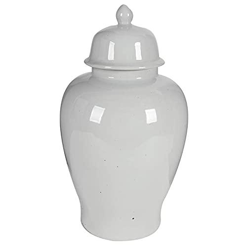 A&B Home 23" Ginger Jar with Lid-White Porcelain Ginger Jars for Home Décor,Large