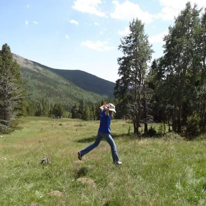 The Meadow!