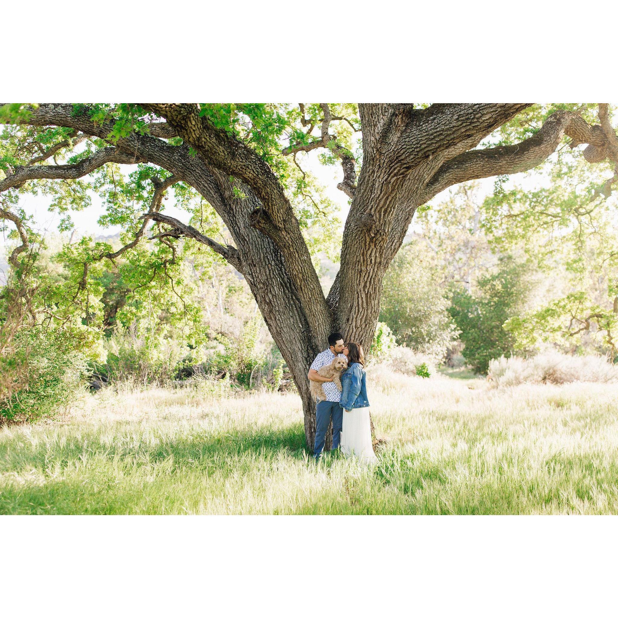 Cheers to the rest of our lives.